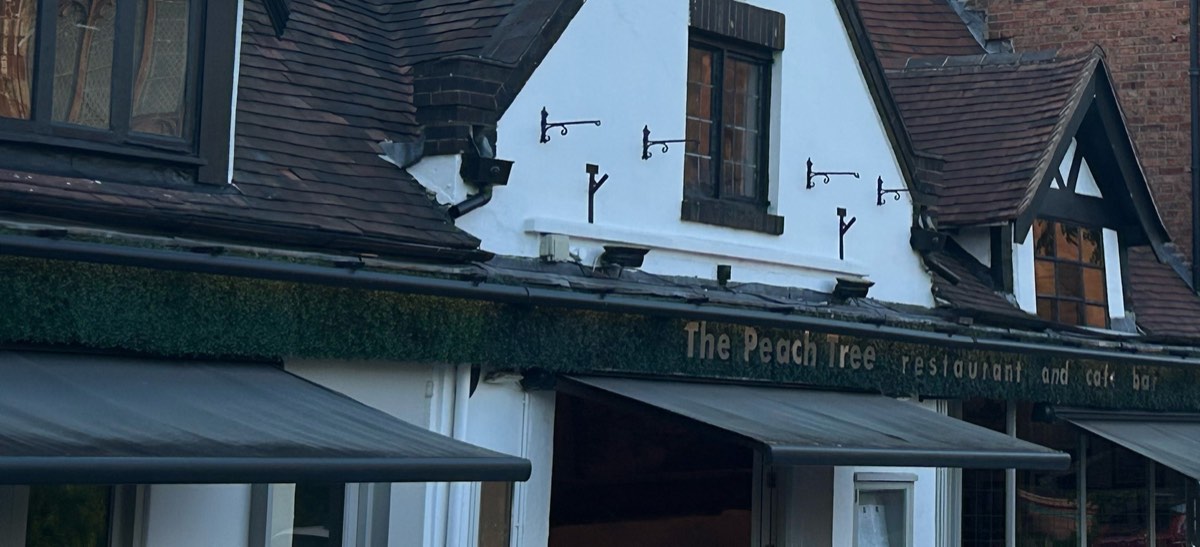 The Peach Tree — photo 1
